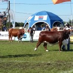 20130601_145110